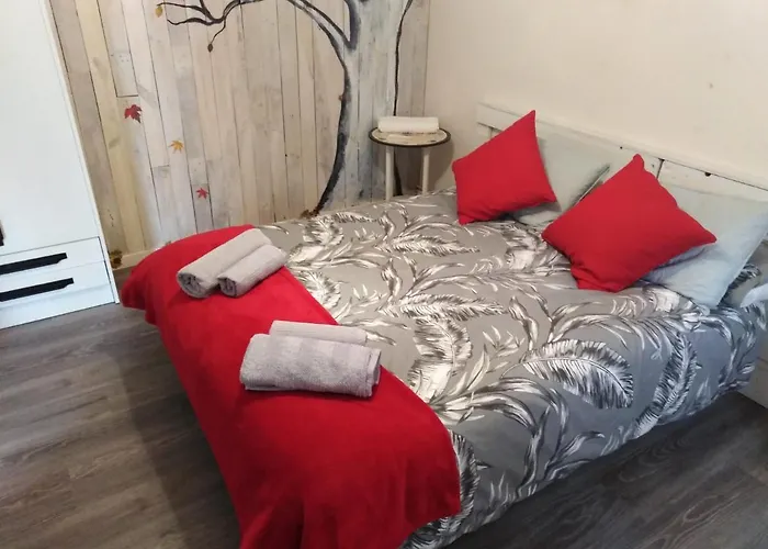 Homestay Casa Roiz *